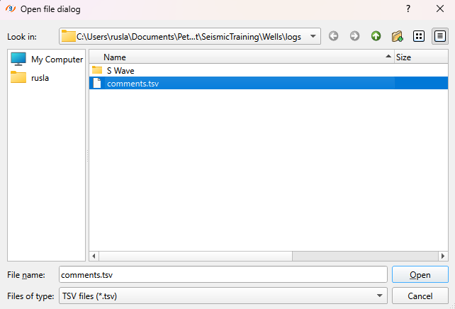 Import wells comments from text file.PNG